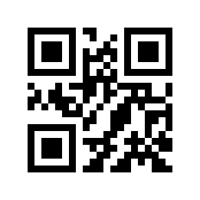 QR code 293917