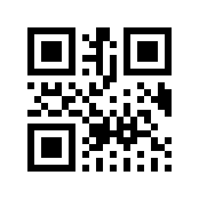 QR code 294028