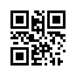 QR code 29541819
