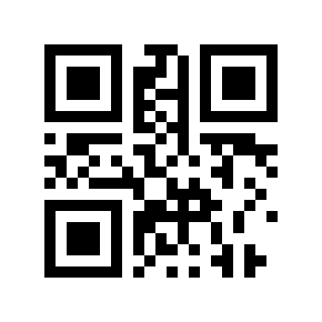 QR code 29541831