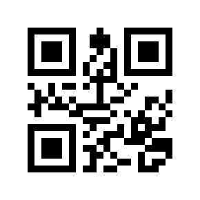 Código QR 29543