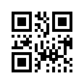 QR code 295883