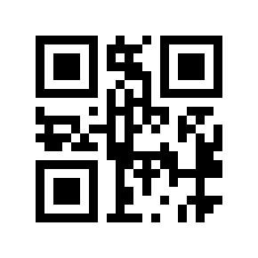 QR code 2981961