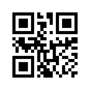 QR code 2994094
