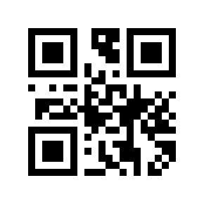 QR code 2999990