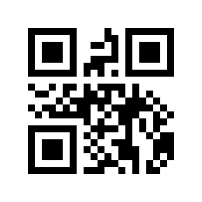 QR code 30101933