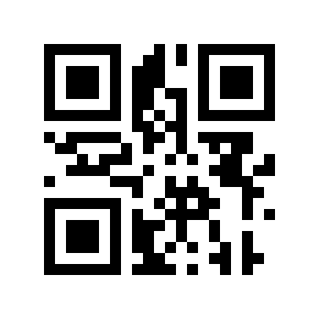QR code 31250004