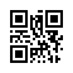 QR code 31250009