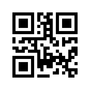 QR code 31250013