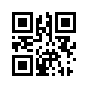 QR code 31250017