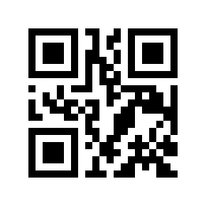 QR code 313424