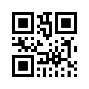 QR code 313627