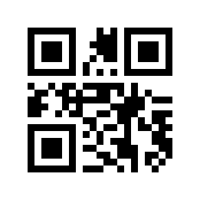 Código QR 369