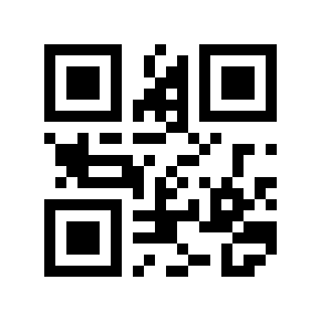 QR code 383728