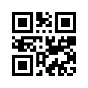 QR code 389333