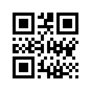 QR code 3999989