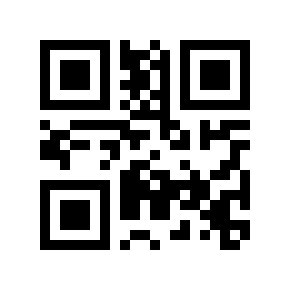 QR code 4065018