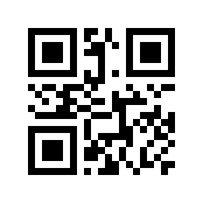 QR code 4081008