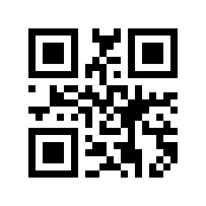 QR code 4100653