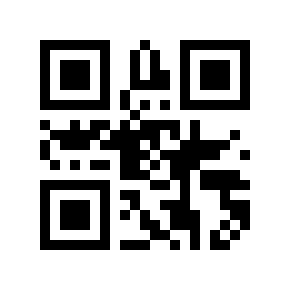 QR code 4123463