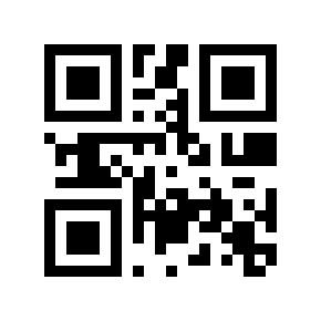 QR code 4530502