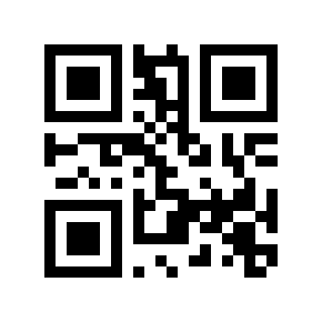 QR code 4541656