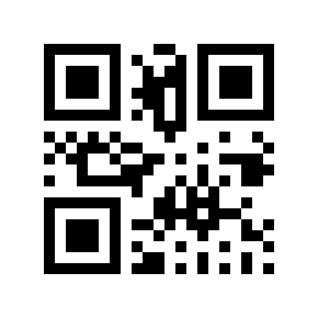 QR code 495369