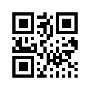Código QR 502982