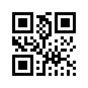 QR code 504029