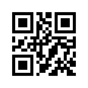 QR code 504033