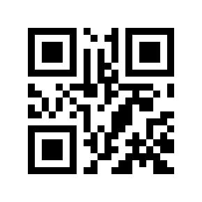 QR code 513009
