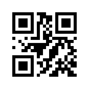 Código QR 530504