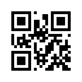 QR code 535533