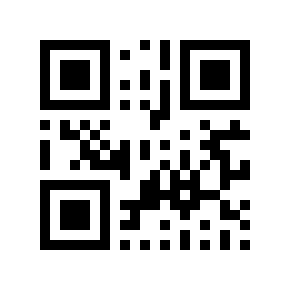 QR code 538739