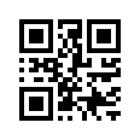 QR code 545373