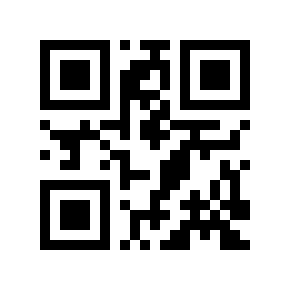Código QR 58282