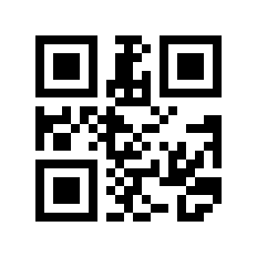 QR code 594331