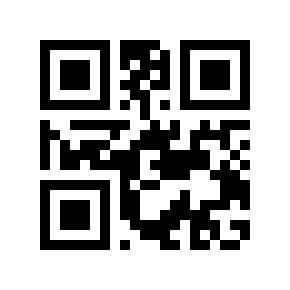 QR code 594373