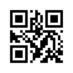 QR code 599335