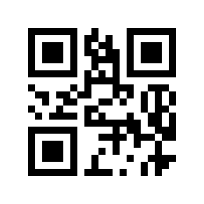 QR code 6000013
