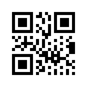 QR code 613953