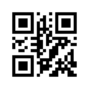 Código QR 65535