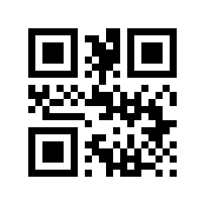 QR code 6599996