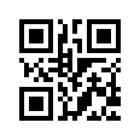 QR code 6666640