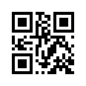 QR code 675994