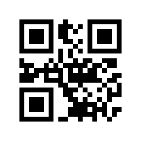 QR code 691231