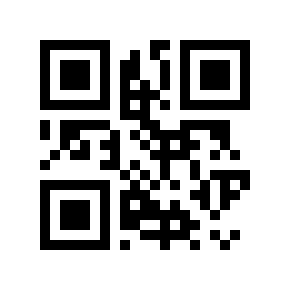 QR code 784313