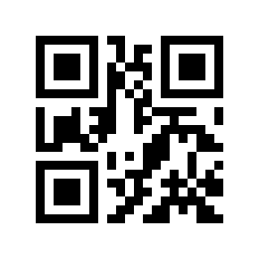 QR code 785691