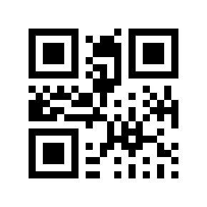 QR code 800033