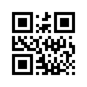 QR code 8132023